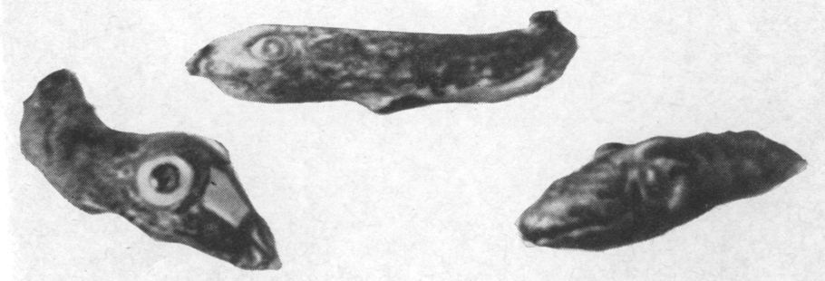 Микены. Дворцовое святилище. Головы змей. Глина (XIII в.).