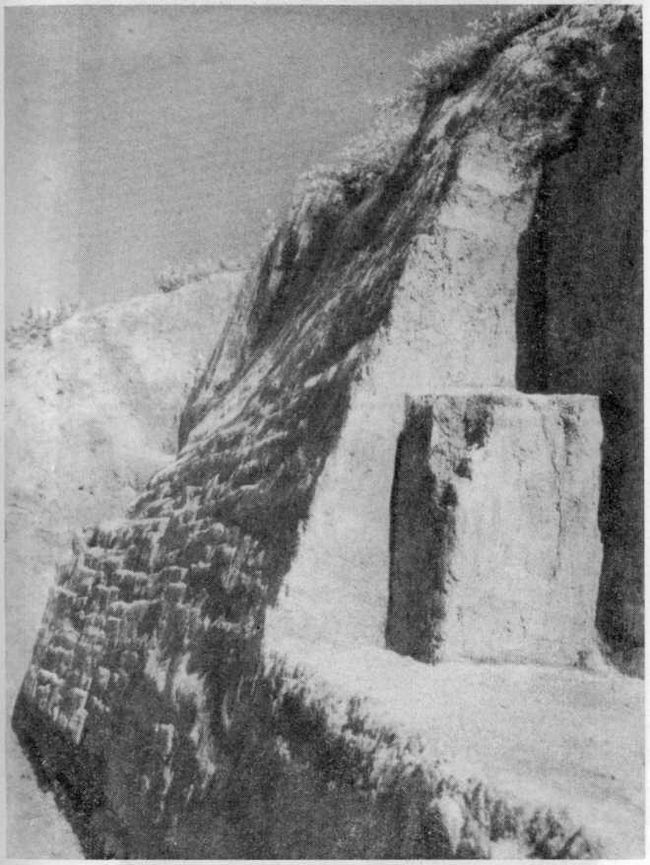 Сырцовая стена. Акрополь одного из поселений на Таманском полуострове