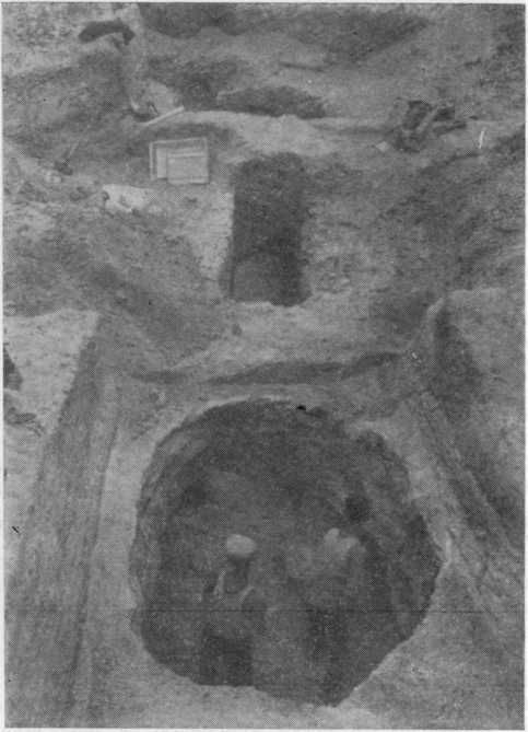 Раскопки двухкамерного склепа № 50 (Фанагория, раскопки 1937 г.)