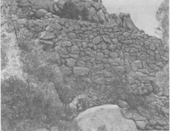 Стена таврского укрепления на горе Кошка