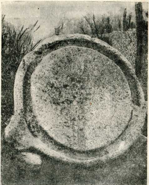Каменное ложе виноградного пресса («тарапан»). III в. до н. э.
