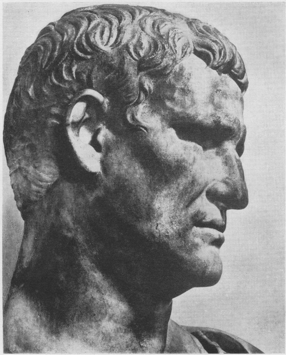 Портрет Агриппы