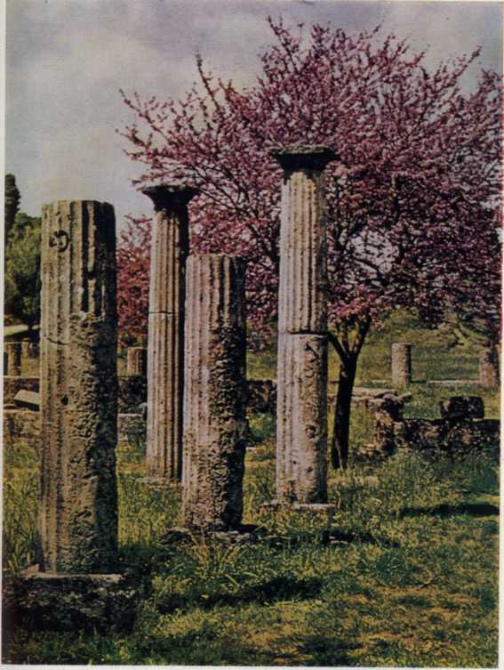 Палестра Олимпии. Колонны. III в. до н. э. 